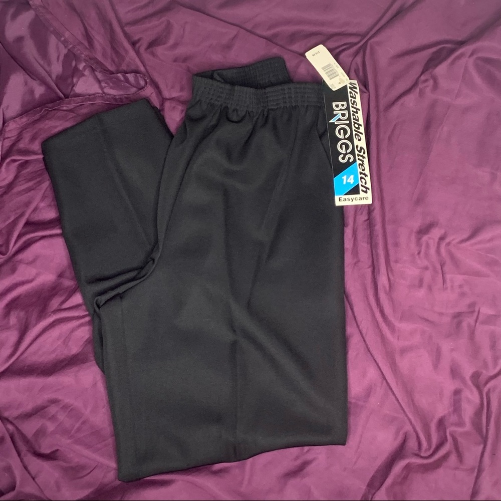 NWT Briggs Pull up work pants